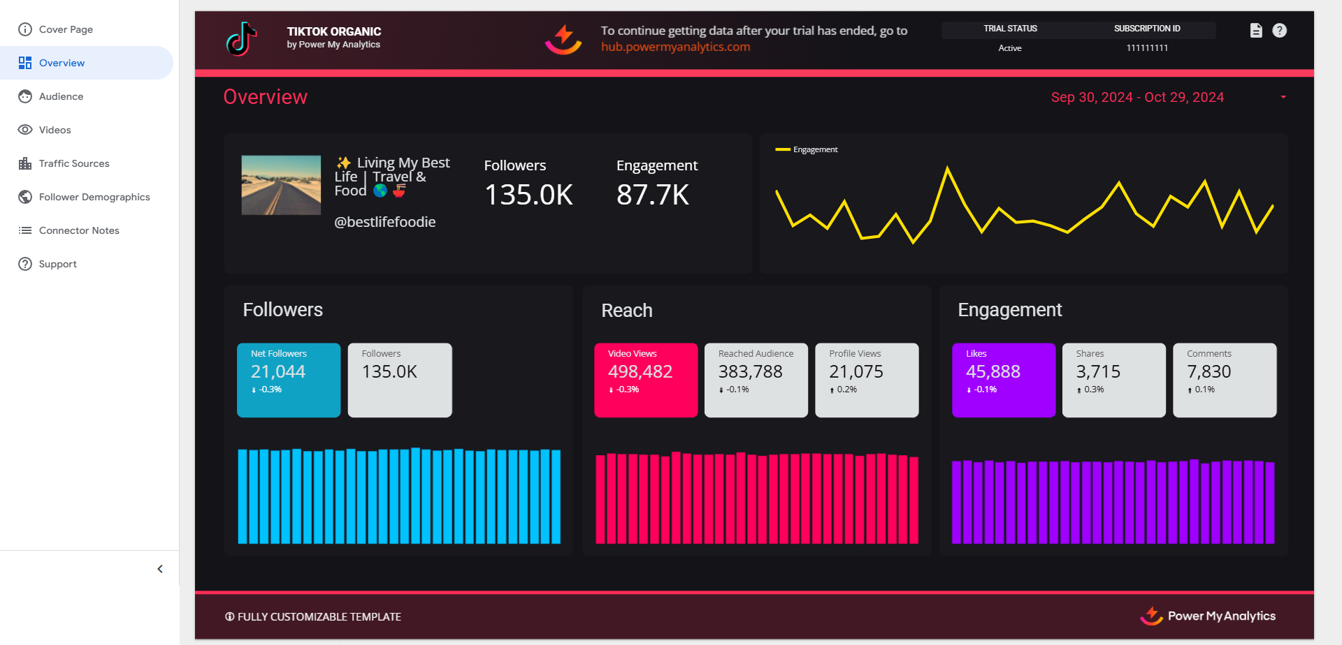 TikTok Organic Overview